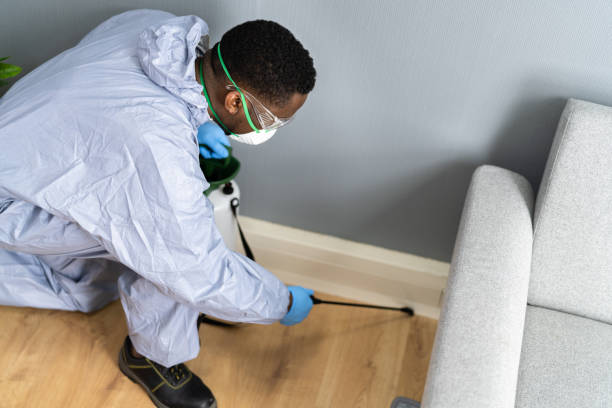 Best Fumigation Services  in West Linn, OR